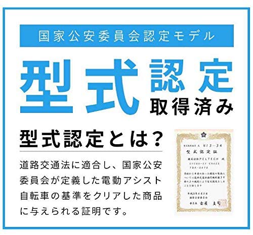 【限定モデル】20インチ 折り畳み 電動アシスト自転車 外装6段変速 【簡易組立必要品】(TDN-206LD) *販売証明書付き