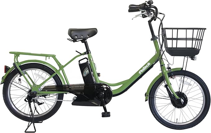 【100%完成車納品】 20インチ 内装3段変速 電動アシスト自転車 (TDN-207LP)