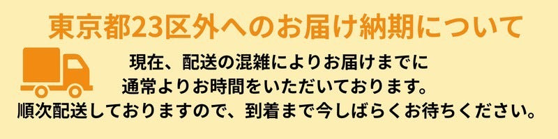 Summer Vacation
