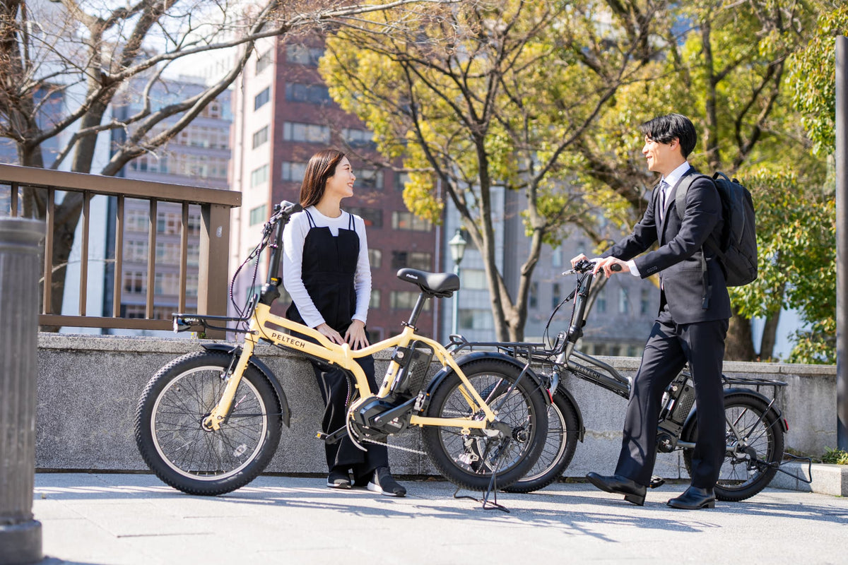 PELTECH X-Adventure 20インチ 折り畳み 電動アシスト自転車 外装6段変速ハイパワーモデル 【簡易組立必要品】(TDN-246L)　 ＊販売証明書付き