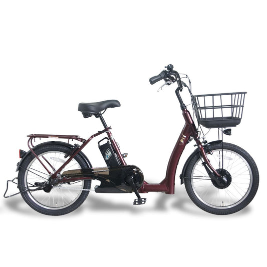 【100％完全組立品】PELTECH LOWSTEP（ローステップ）20型 電動アシスト自転車｜内装3段変速 低床フレーム  (TDN-209L)