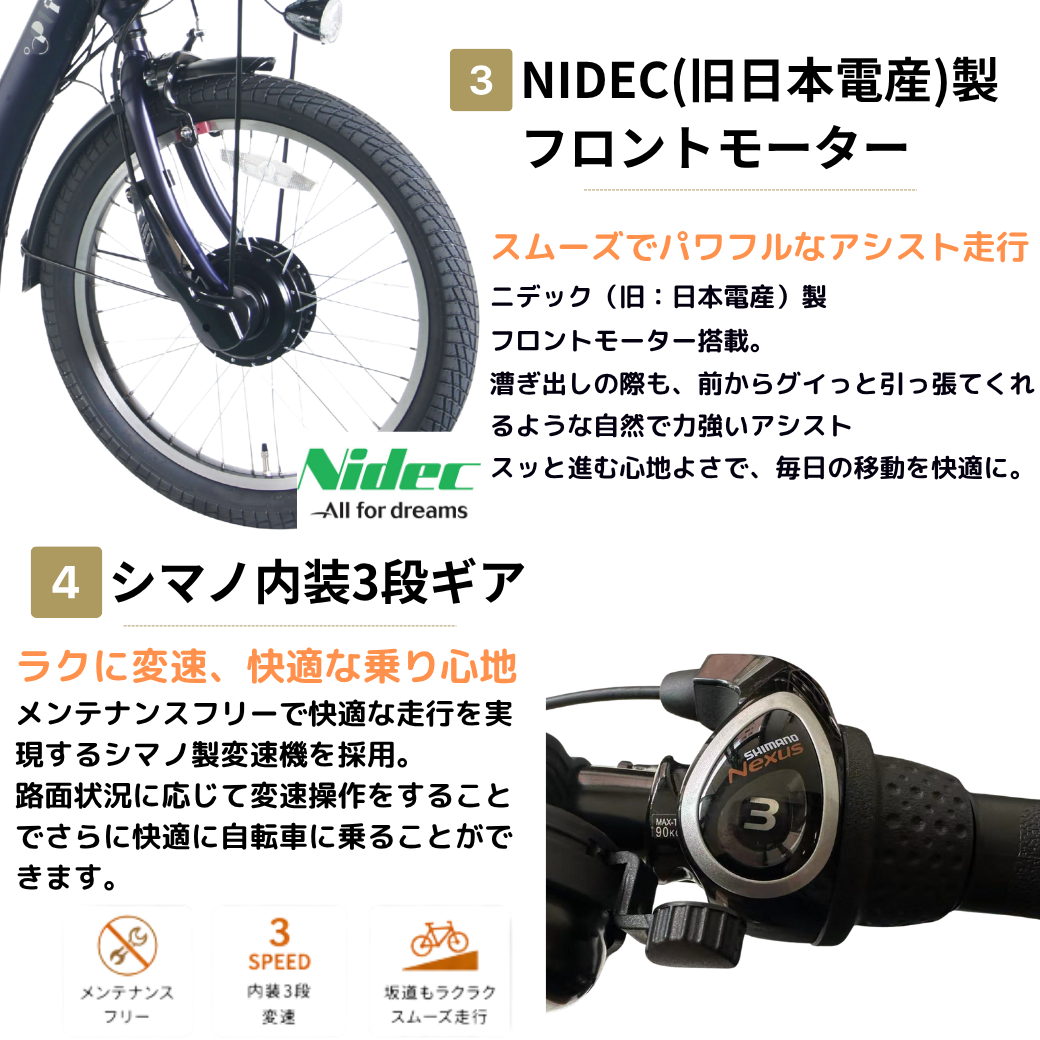 【100％完全組立品】【ノーパンク】PELTECH LOWSTEP（ローステップ）20型  電動アシスト自転車｜内装3段変速 低床フレーム (TDN-209LN)