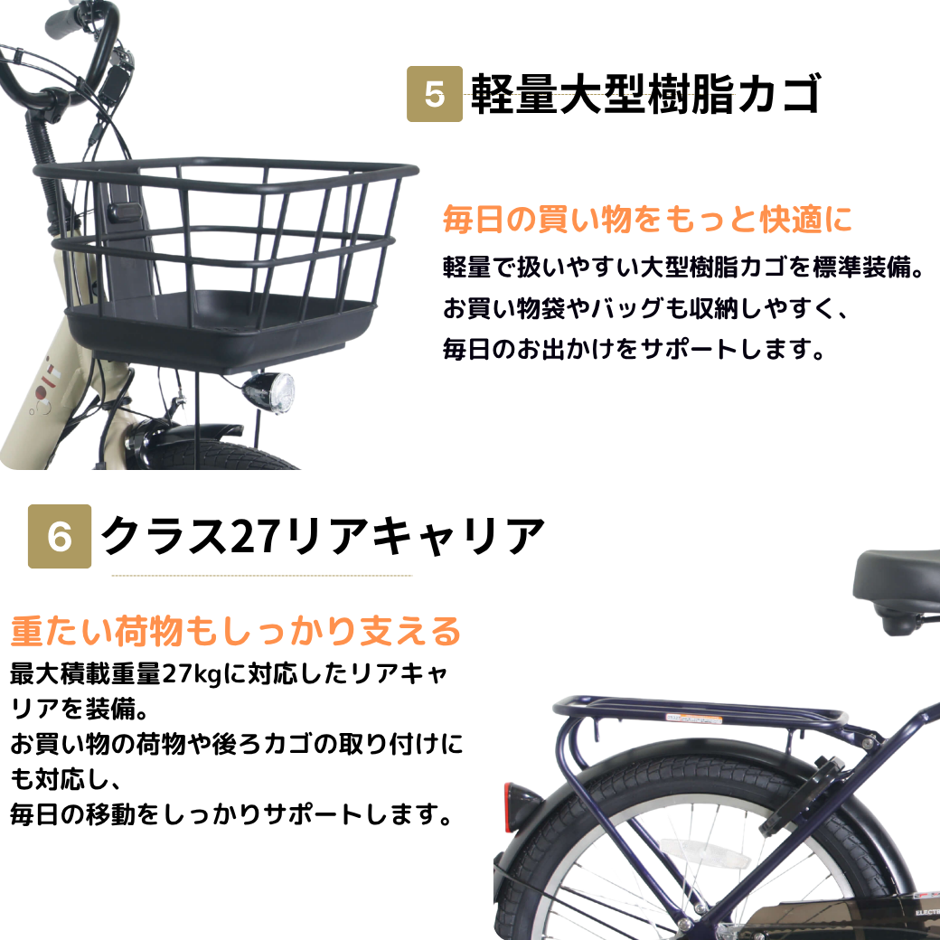 【100％完全組立品】【ノーパンク】PELTECH LOWSTEP（ローステップ）20型  電動アシスト自転車｜内装3段変速 低床フレーム (TDN-209LN)
